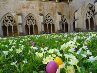 Chasse aux œufs à l'Abbaye le 16 avril !